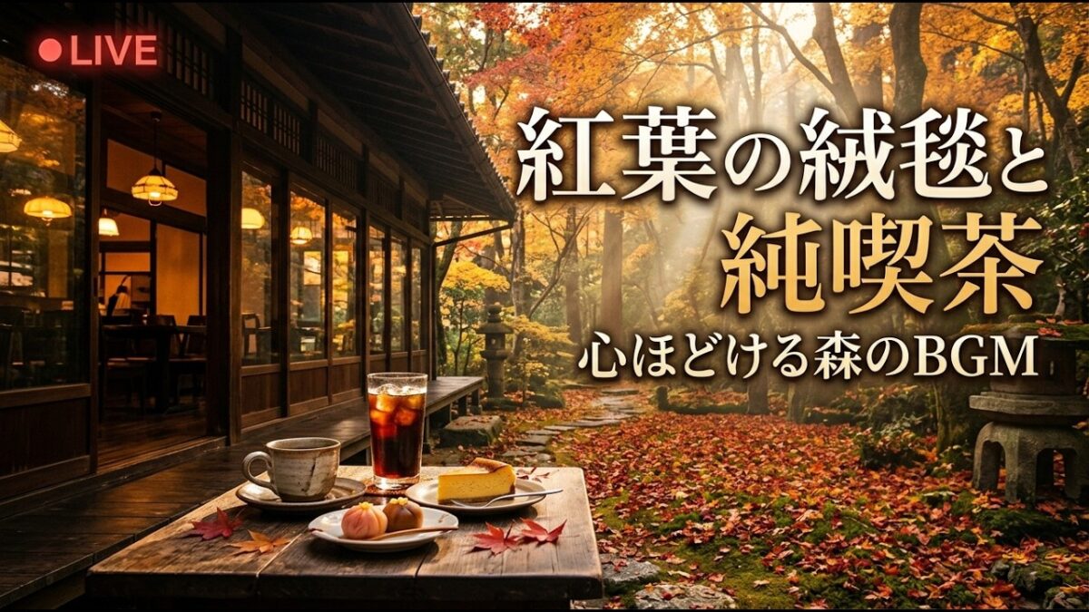 森の小さな雪灯り喫茶｜【カフェBGM】雪明かりに浮かぶ冬の森と温かな珈琲に癒される夜｜作業・読書・リラックス｜LIVE