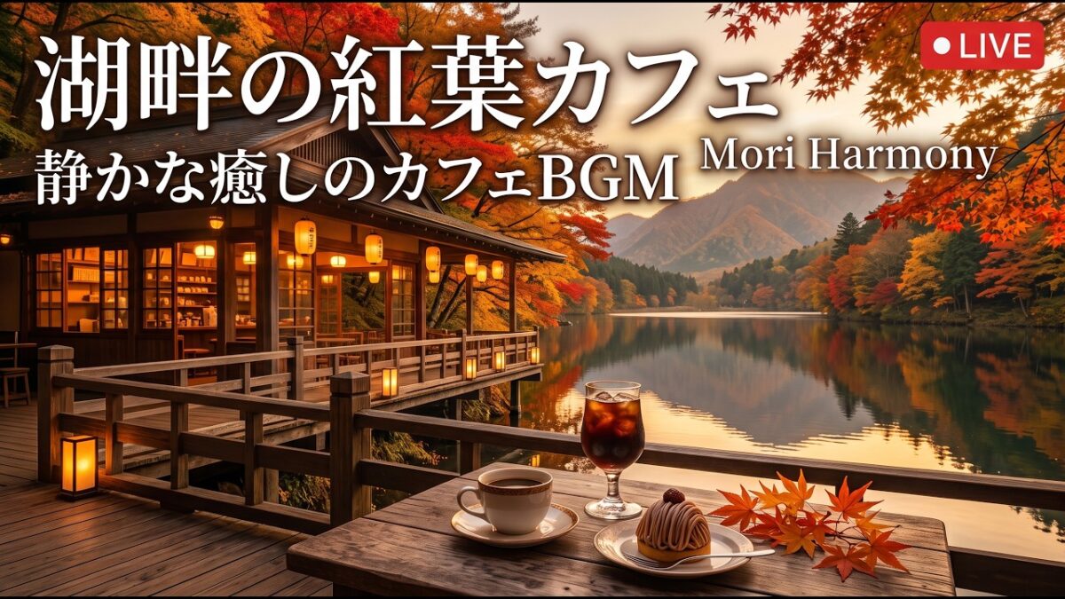 森の小さな水辺カフェ｜【カフェBGM】水面に映る木々と珈琲で過ごす静かな午後｜作業・読書・リラックス｜LIVE