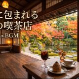 森の小さなパン工房喫茶｜【カフェBGM】焼きたてパンと珈琲に包まれる朝の穏やかな時間｜作業・読書・リラックス｜LIVE