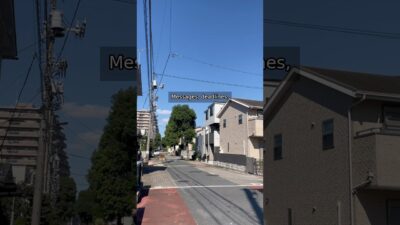 Disconnect from the World 🌿 A Peaceful Walk in Japan | Mindful Tokyo Walk