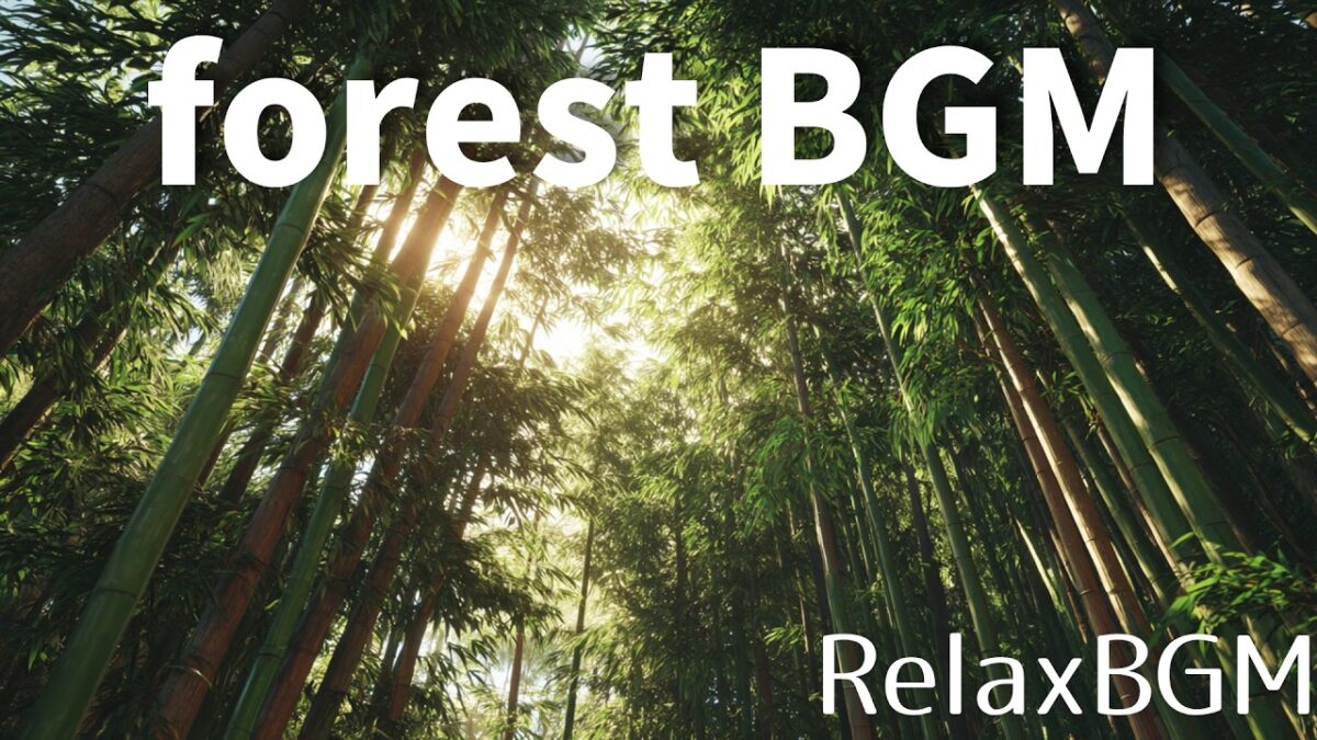 Forest BGM 🎋竹林に差し込む木漏れ日と癒しの音に包まれる、森林浴リラックスBGM | RelaxBGM