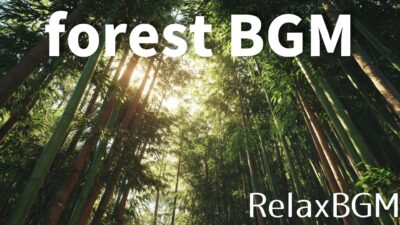 Forest BGM 🎋竹林に差し込む木漏れ日と癒しの音に包まれる、森林浴リラックスBGM | RelaxBGM
