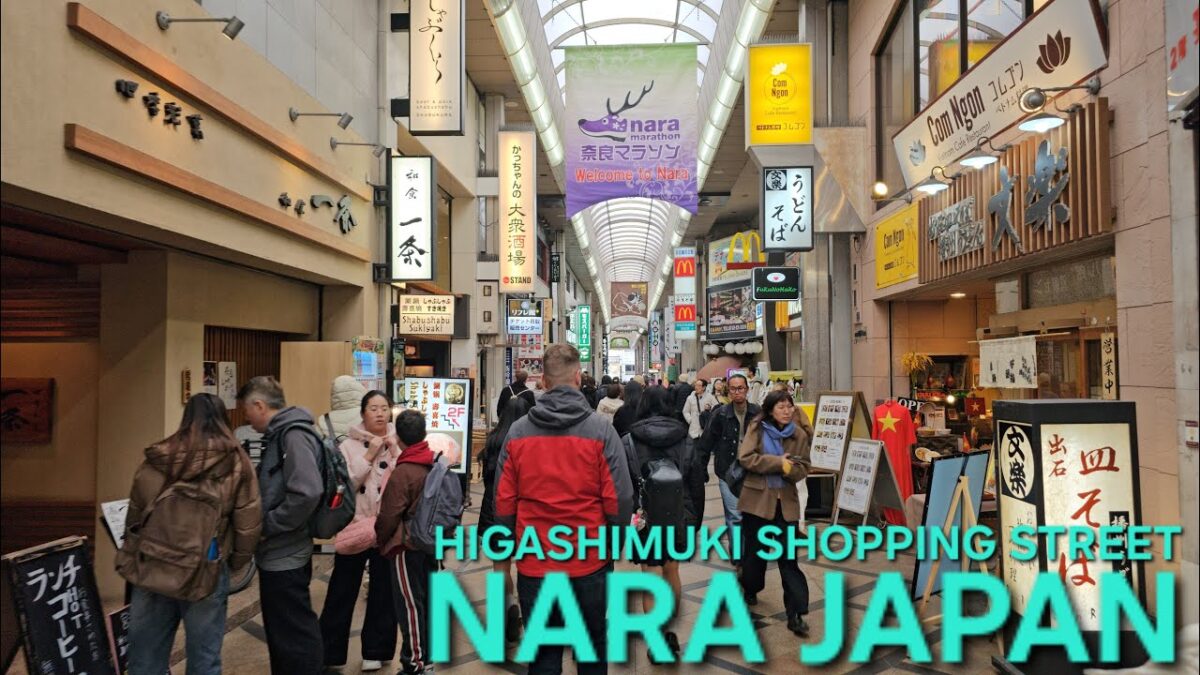 🇯🇵 Japan Journey 4K: Higashimuki Shopping Street! Osaka to Nara Metro Scenic Ride