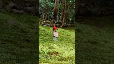 Japan Kyoto | Jakko-in Temple Walk | 4K