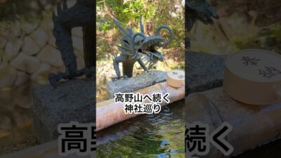 【高野山ツアー①】秋の寺社巡り🌿 錦鯉と水音、金木犀の香りに包まれて #Shorts