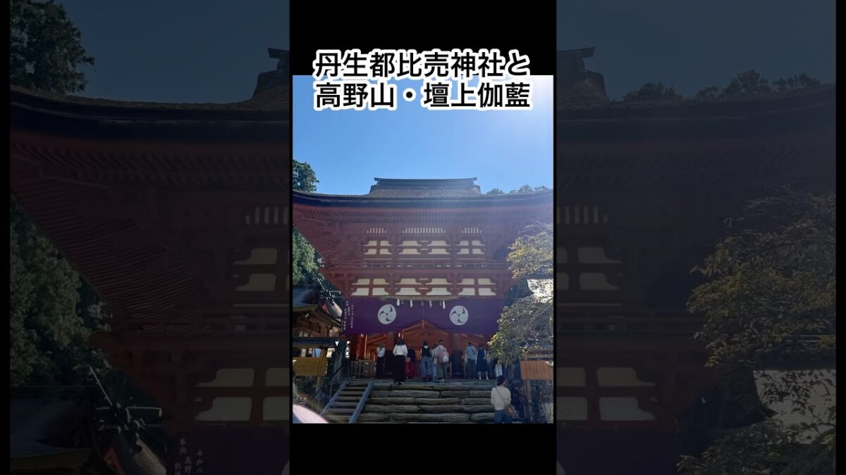 【高野山ツアー②】丹生都比売神社で響く太鼓の音色🥁 佐波神社から壇上伽藍へ #Shorts