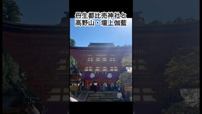【高野山ツアー②】丹生都比売神社で響く太鼓の音色🥁 佐波神社から壇上伽藍へ #Shorts