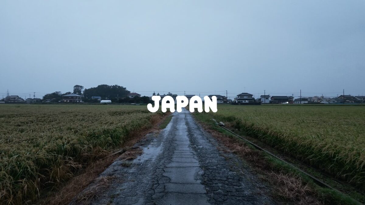 Walking Through Rural Japan in the Rain | Quiet Rice Fields · 4K