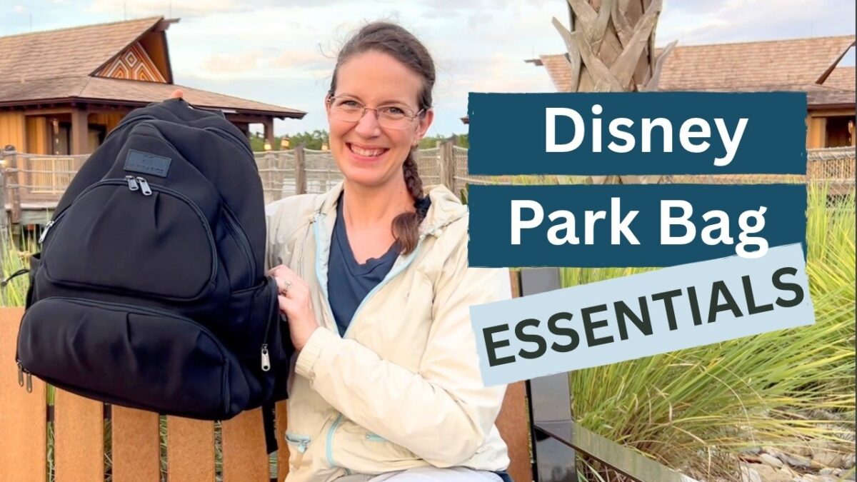 What’s In My Disney Park Bag