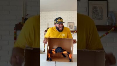 What’s In the Box?