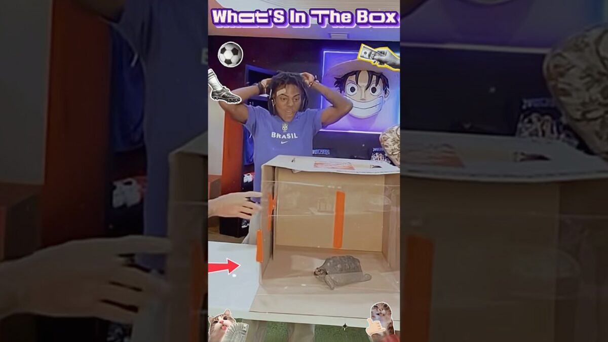 What’s in the box #ishowspeed #funny #channel #youtubeshorts #viral #shorts