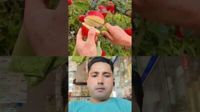 Wonderful fruits that bring relaxation#satisfying #fruit #nature #asmr #vegetable#farming #1m🍎