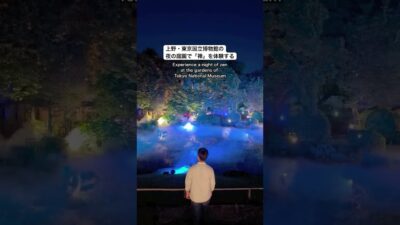 夜の庭園で禅を体験、上野・東京国立博物館で「ZEN NIGHT TOKYO」が開催🧘