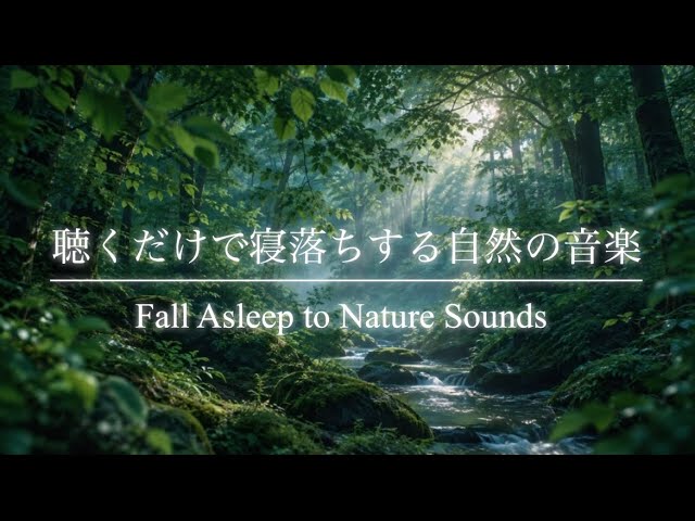 【睡眠用bgm】聴くだけで寝落ちする｜心が安らぐ森林浴・自然音で深いリラックスへ🌿｜Relaxing Forest Sounds