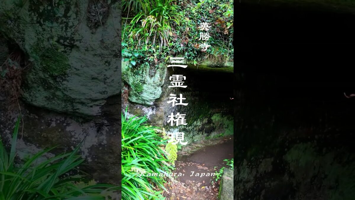 闇をくぐり、光へ。鎌倉・英勝寺の祈りの洞窟　#kamakura #japantravel
