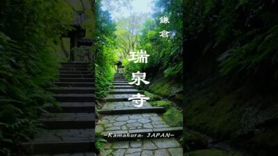 迷いを門の外に置いていく｜禅の寺・瑞泉寺の山門　#kamakura #japantravel