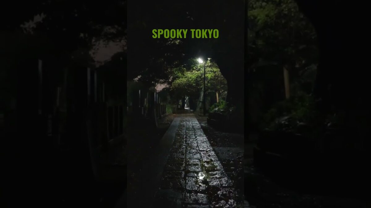 #spooky #october #walking #asmrsounds #night #rainsounds #雨音 #雨 #夜景 #怖い #お墓参り #relaxing #散歩 #calm