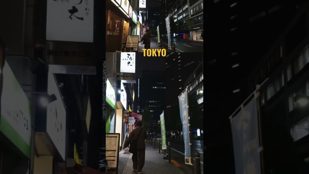 #tokyo # #japan #walking #relaxing #rainsounds #rainyday #雨音 #雨の音 #雨声助眠 #asmr #asmrsounds #散歩 #夜景