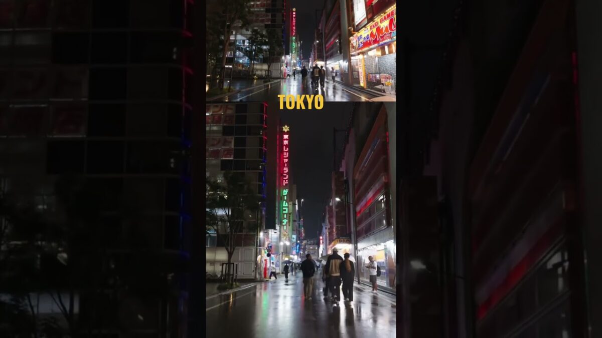 #tokyo #秋葉原 #散歩 #散歩好き #雨音 #雨 #夜市 #night #asmrsounds #rain #rainsounds #walking #japan #relaxingsound
