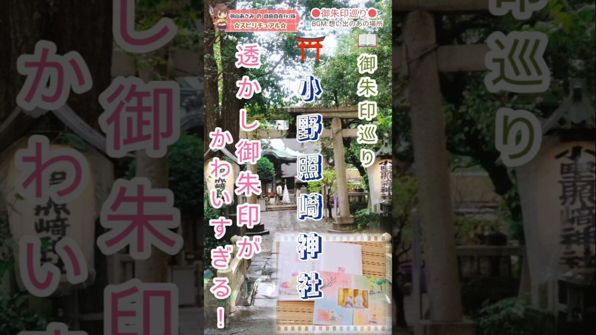 ⛩️可愛すぎる御朱印がある【小野照崎神社】　#御朱印巡り　#神社巡り　#小野照崎神社　#開運　#透かし御朱印