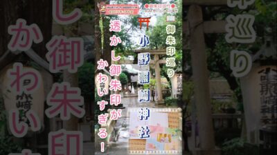 ⛩️可愛すぎる御朱印がある【小野照崎神社】　#御朱印巡り　#神社巡り　#小野照崎神社　#開運　#透かし御朱印