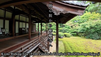 【京都散歩】随心院から醍醐寺へ｜歴史と絶景を巡る旅