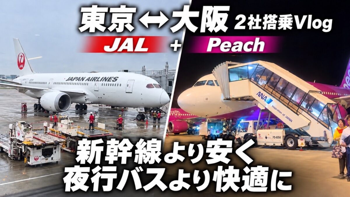 新幹線より早く、夜行バスより快適に東京大阪間を移動したい。そんな願望を叶えるべく移動しました。