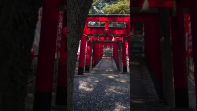 【この神社、知ってる？⛩️】中級｜四日市の街なかに佇む、静かな神社🌿✨｜鵜の森神社【三重県四日市市】
