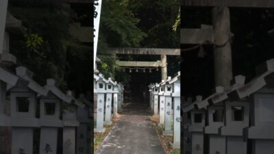 【この神社、知ってる？⛩️】上級｜四日市の街に受け継がれる、地域の神社🌿✨｜白髭神社【三重県四日市市】