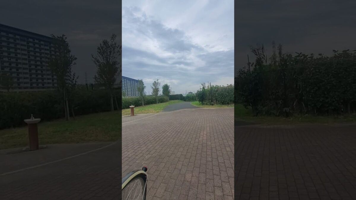 雨音