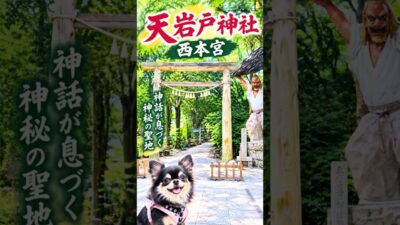 神話が息づく神秘の聖地✨|天岩戸神社 西本宮    #神社巡り#天岩戸神社  #神社仏閣パワースポット #神社