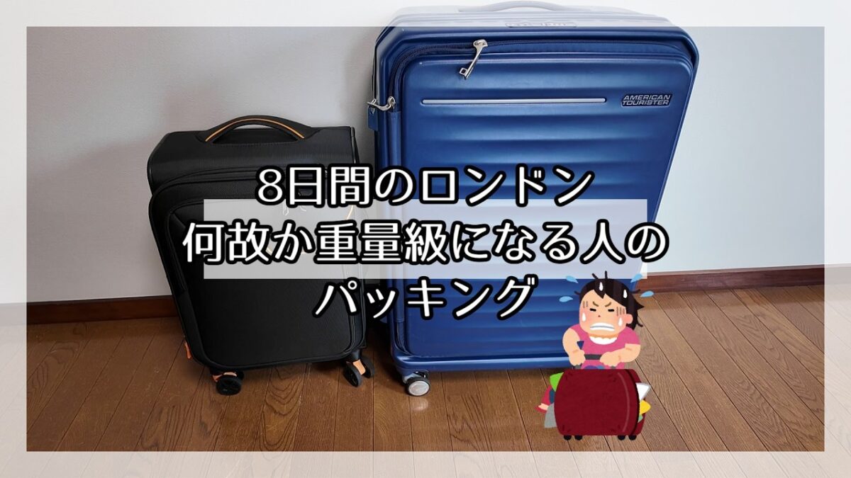 【だれか教えてください】参考にならないパッキング【旅行準備vlog】